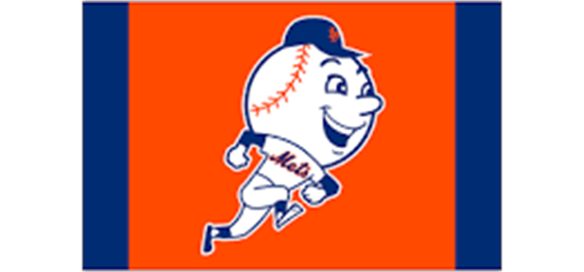 VSLL Day at CitiField