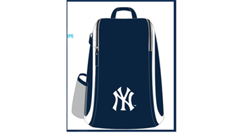Youth Sports Day at Yankee Stadium